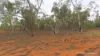 * WILGA, Coolabah, NSW 2831-Image
