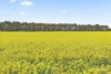 Wingeel Road, Wingeel, Vic 3321-Image