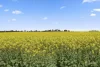 Wingeel Road, Wingeel, Vic 3321-Image