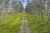 Wingeel Road, Wingeel, Vic 3321-Image