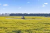 Wingeel Road, Wingeel, Vic 3321-Image