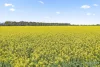 Wingeel Road, Wingeel, Vic 3321-Image