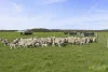 Yaruck Road, Port Campbell, Vic 3269-Image