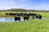Yaruck Road, Port Campbell, Vic 3269-Image