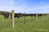 Yaruck Road, Port Campbell, Vic 3269-Image