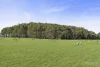 Yaruck Road, Port Campbell, Vic 3269-Image