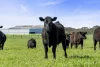 Yaruck Road, Port Campbell, Vic 3269-Image