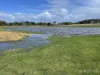 Yaruck Road, Port Campbell, Vic 3269-Image