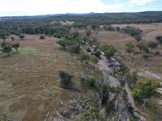 Open Grazing Country Warroo area
