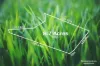 2 Lifestyle Lots - RLZ | Elevated Homesites (STCA) | River Frontage Potential
