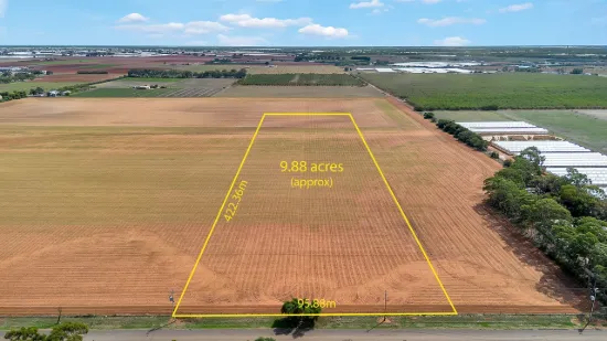 Long-Term Potential on Short Road!
