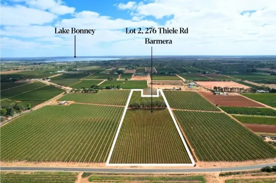 Shiraz Vineyard with Lifestyle Potential