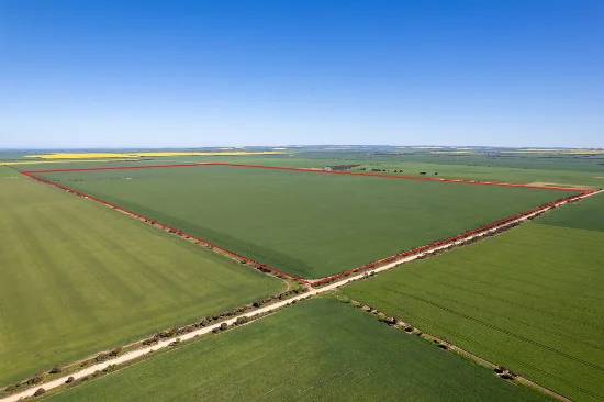 "ROSS'S" - 222 Hectares of quality cropping country