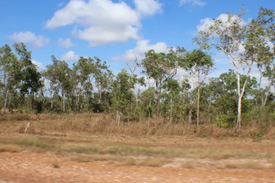 5 Acres with bore 