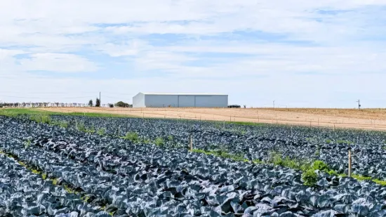 "Woodridge" Prime Location, Irrigation, Mixed Farming!