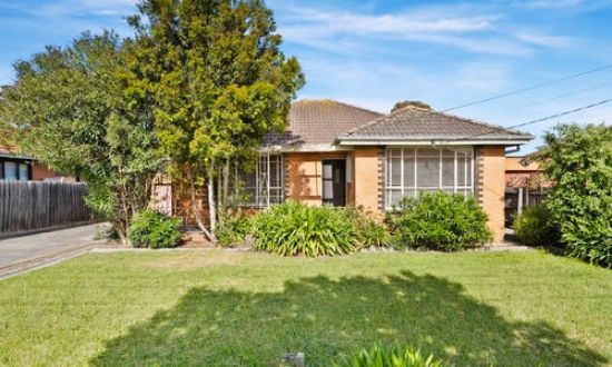 David Falcone @realty - Sunshine - Real Estate Agency