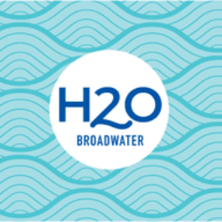 Cathy H2O Broadwater - Real Estate Agent