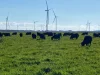 0 Chamallak Lane, Kolora, Vic 3265