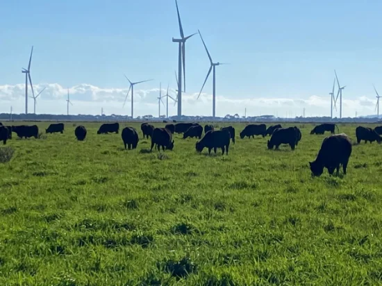 0 Chamallak Lane, Kolora, Vic 3265
