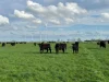 0 Chamallak Lane, Kolora, Vic 3265-Image