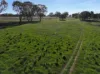 0 Illalong Road, Bookham, NSW 2582-Image