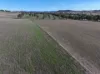 0 Illalong Road, Bookham, NSW 2582-Image