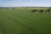 0 Marrar South Road, Yathella, NSW 2650-Image