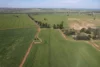 0 Marrar South Road, Yathella, NSW 2650-Image