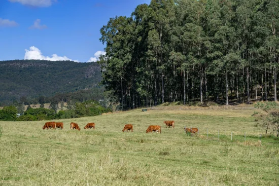 0 Spiller Road, Moy Pocket QLD 4574-Image