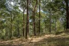 0 Spiller Road, Moy Pocket QLD 4574-Image