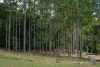 0 Spiller Road, Moy Pocket QLD 4574-Image