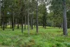 0 Spiller Road, Moy Pocket QLD 4574-Image