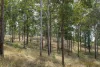 0 Spiller Road, Moy Pocket QLD 4574-Image