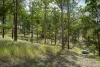 0 Spiller Road, Moy Pocket QLD 4574-Image