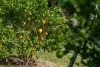0 Spiller Road, Moy Pocket QLD 4574-Image