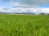 0 Sutherland, St Arnaud, Vic 3478-Image