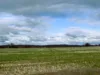 0 Sutherland, St Arnaud, Vic 3478-Image