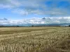 0 Sutherland, St Arnaud, Vic 3478-Image
