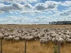 0 Tapps Lane, Kolora, Vic 3265-Image