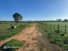 1 Dicksons Lane, Kyvalley, Vic 3621-Image