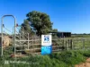 1 Dicksons Lane, Kyvalley, Vic 3621-Image