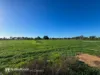 1 Dicksons Lane, Kyvalley, Vic 3621-Image
