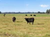 1, Settlement Road, Stratford, Vic 3862-Image