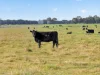 1, Settlement Road, Stratford, Vic 3862-Image