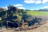 1 Yungermere Road, Gnowellen, WA 6328-Image