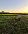 1 Yungermere Road, Gnowellen, WA 6328-Image