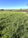1 Yungermere Road, Gnowellen, WA 6328-Image