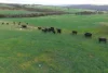 1 Yungermere Road, Gnowellen, WA 6328-Image