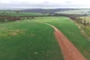 1 Yungermere Road, Gnowellen, WA 6328-Image