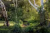 10 Holey Flat Lane, Moorland NSW 2443-Image